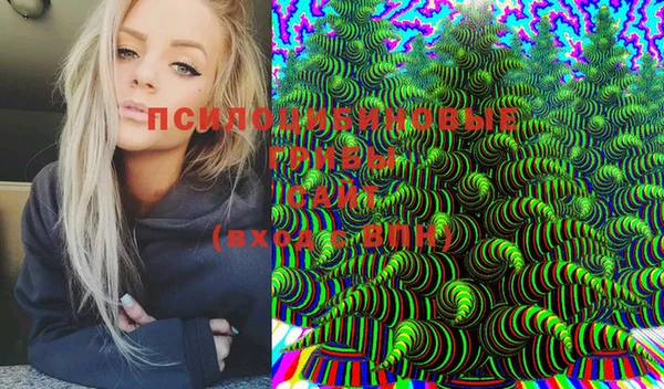 мяу мяу мука Алексин
